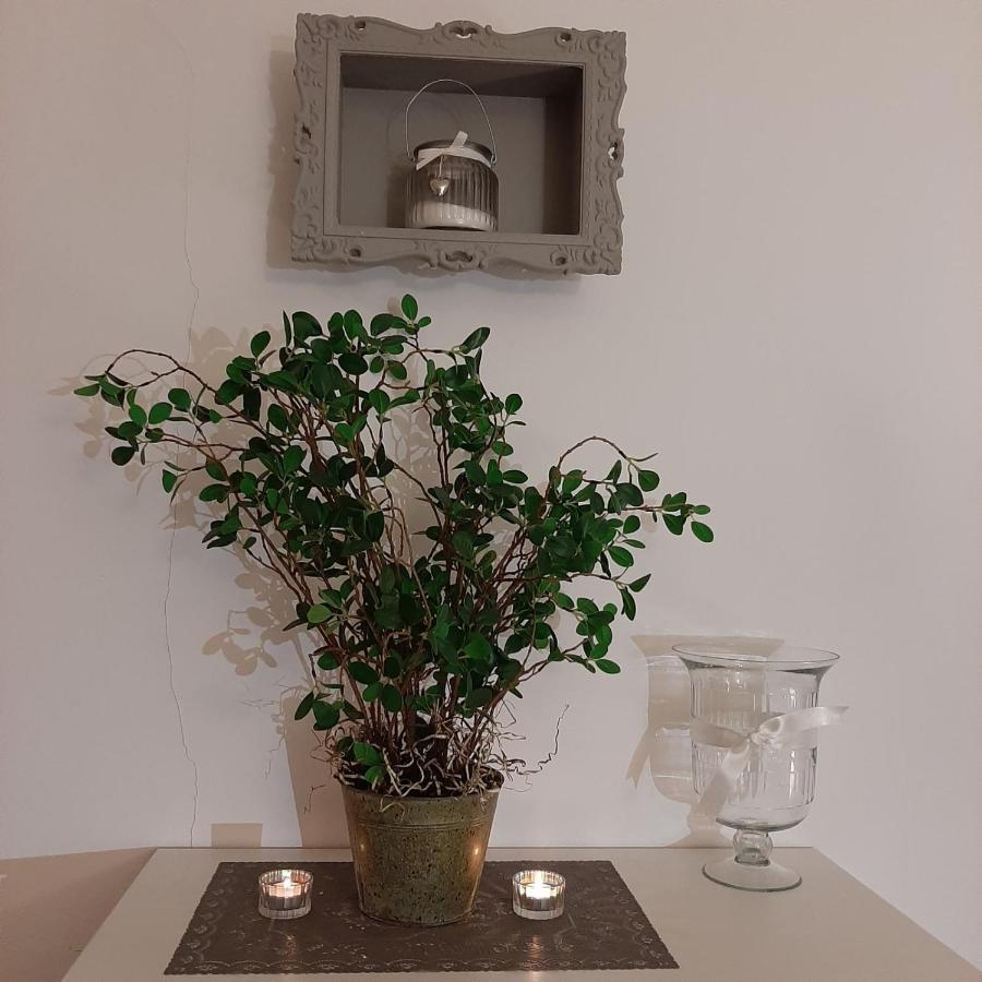 Apartment Lautus มาริบอร์ ภายนอก รูปภาพ